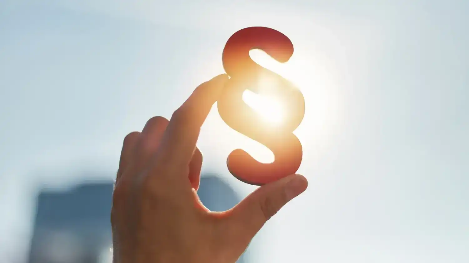 Laub - wer muss es beseitigen?