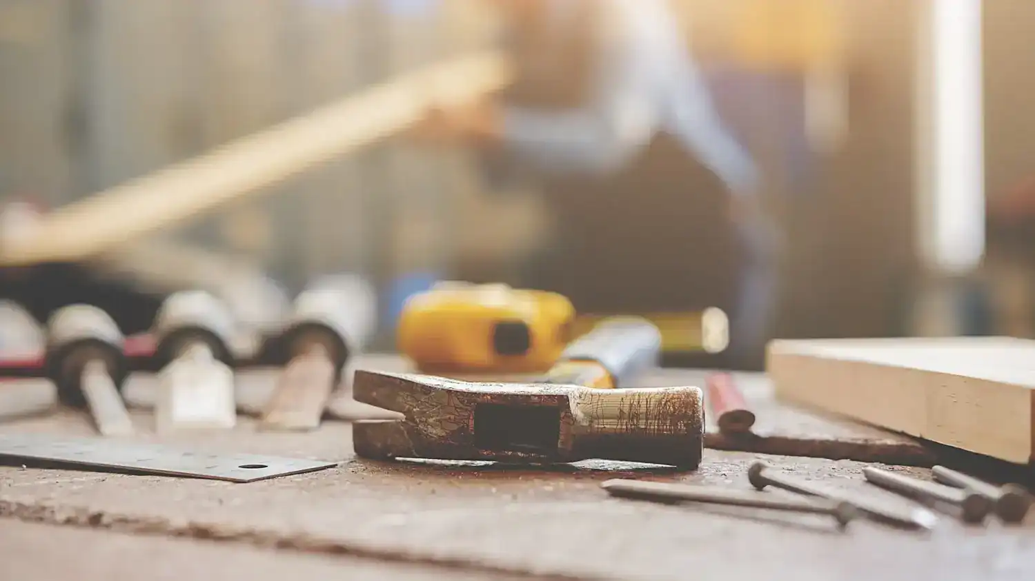Einnistung einer Waschbärenfamilie im Dach nach Reparatur durch Handwerksbetrieb