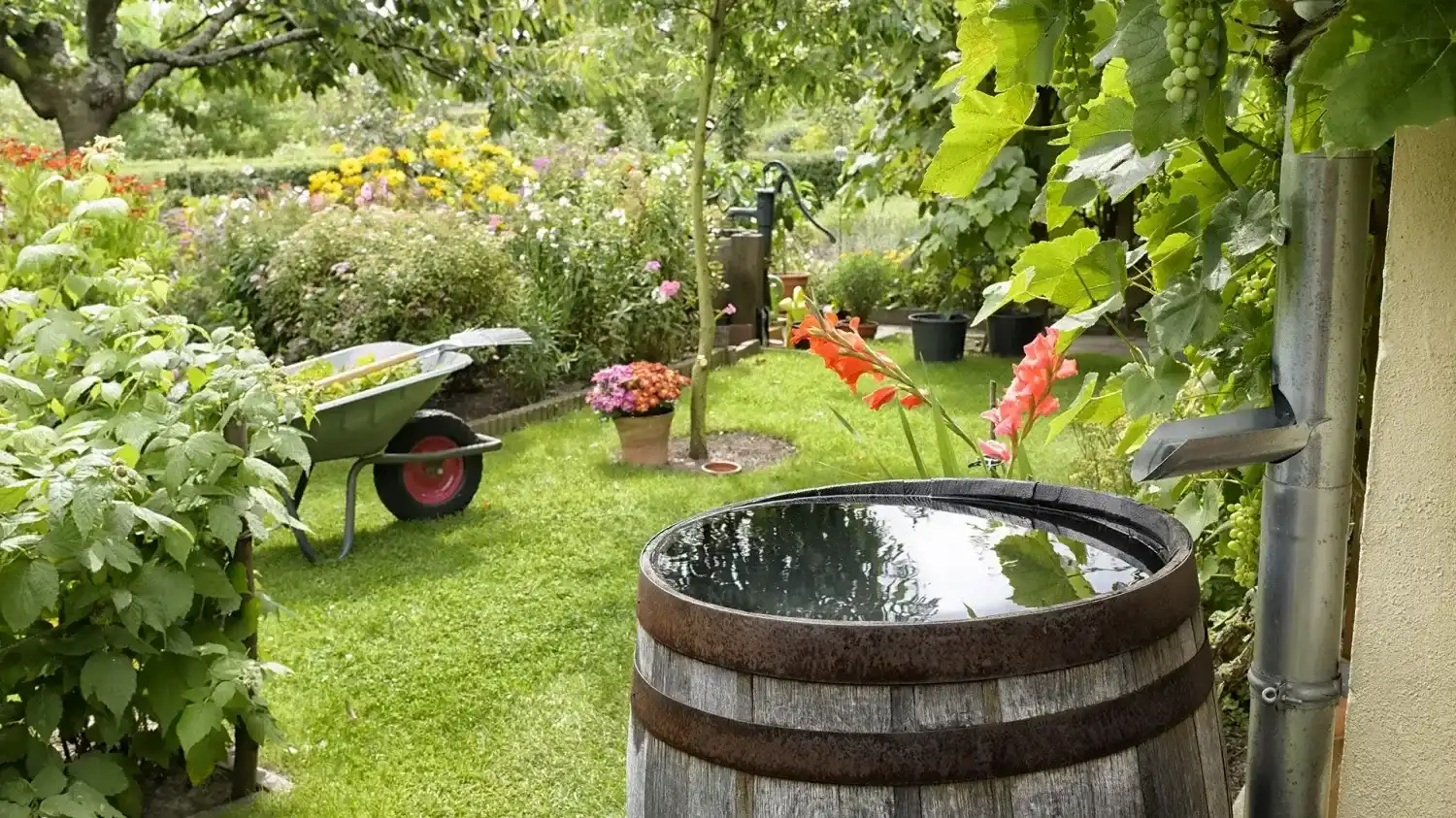 Vermeidung von Wasserschäden durch Laub