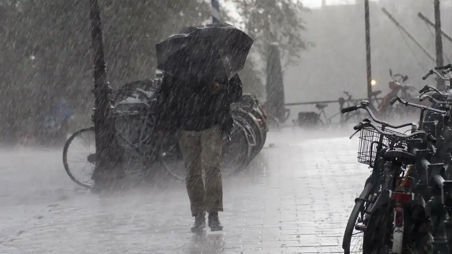 Schutz vor Extremwetter