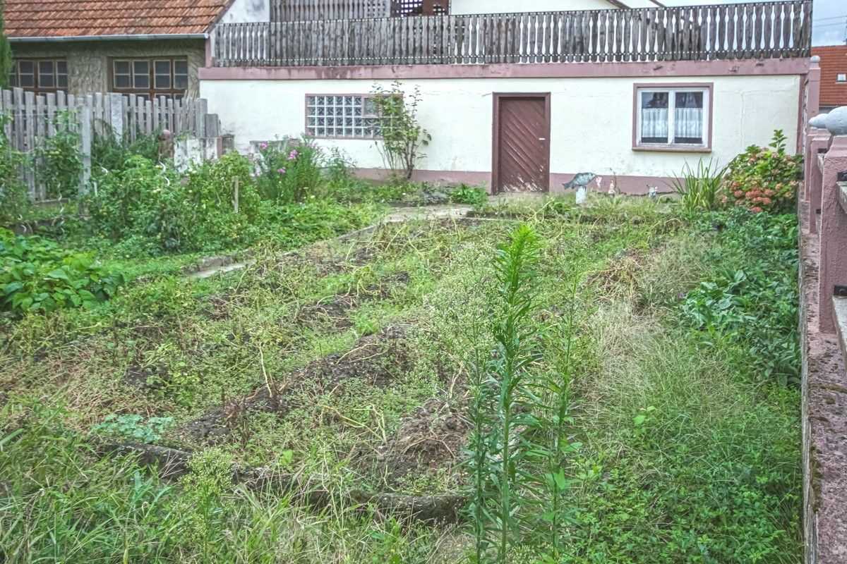 Jardin