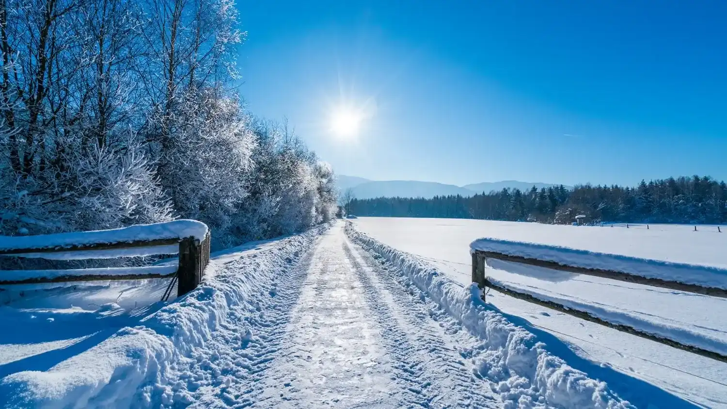 Beweislast beim Glättesturz und Haftung des Vermieters